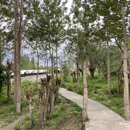 Ladakh Mountian Escape Camp By Lexstays Leh Zewnętrze zdjęcie