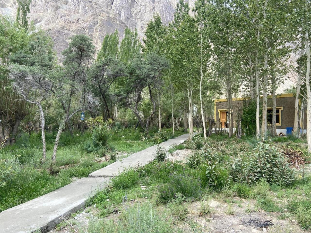 Ladakh Mountian Escape Camp By Lexstays Leh Zewnętrze zdjęcie